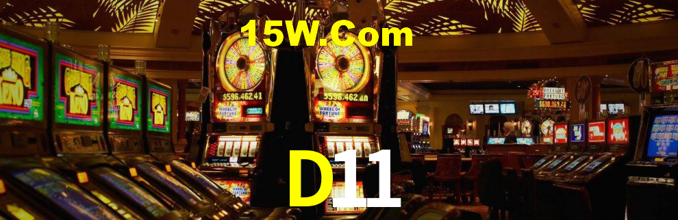 Premium Interface D11